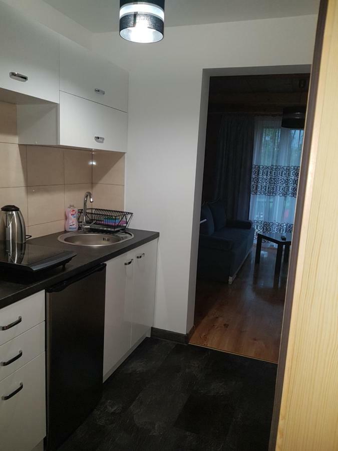Apartamenty "Pod Tatrami" Закопане Екстериор снимка